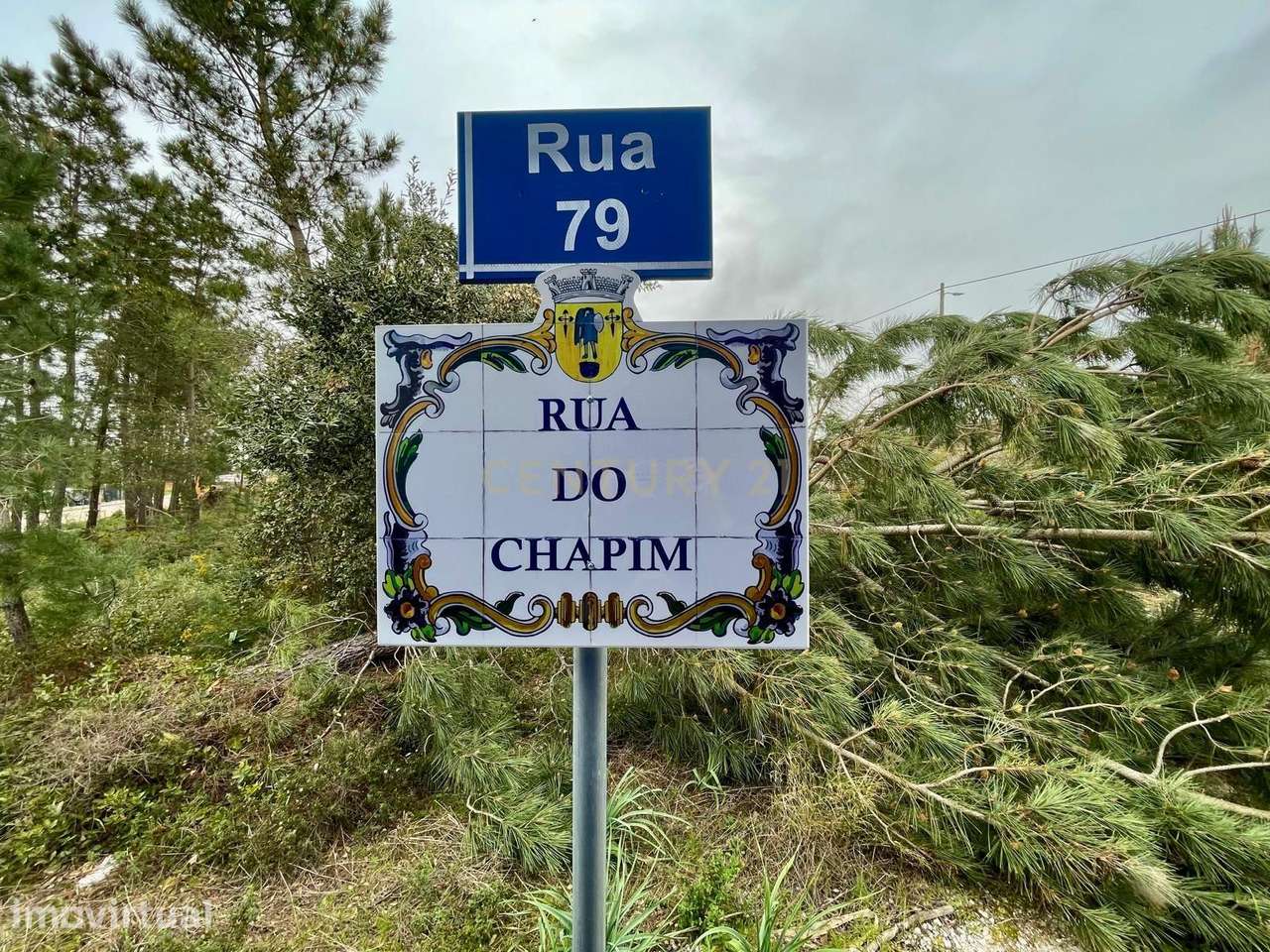 Terreno para Construção na Quinta da Marquesa - Quinta do Anjo - Palme - Grande imagem: 3/5