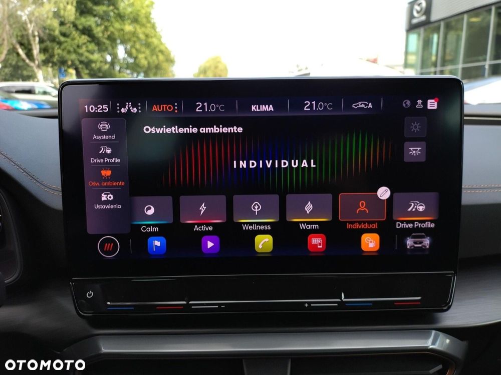Cupra Formentor 1.5 TSI - 22