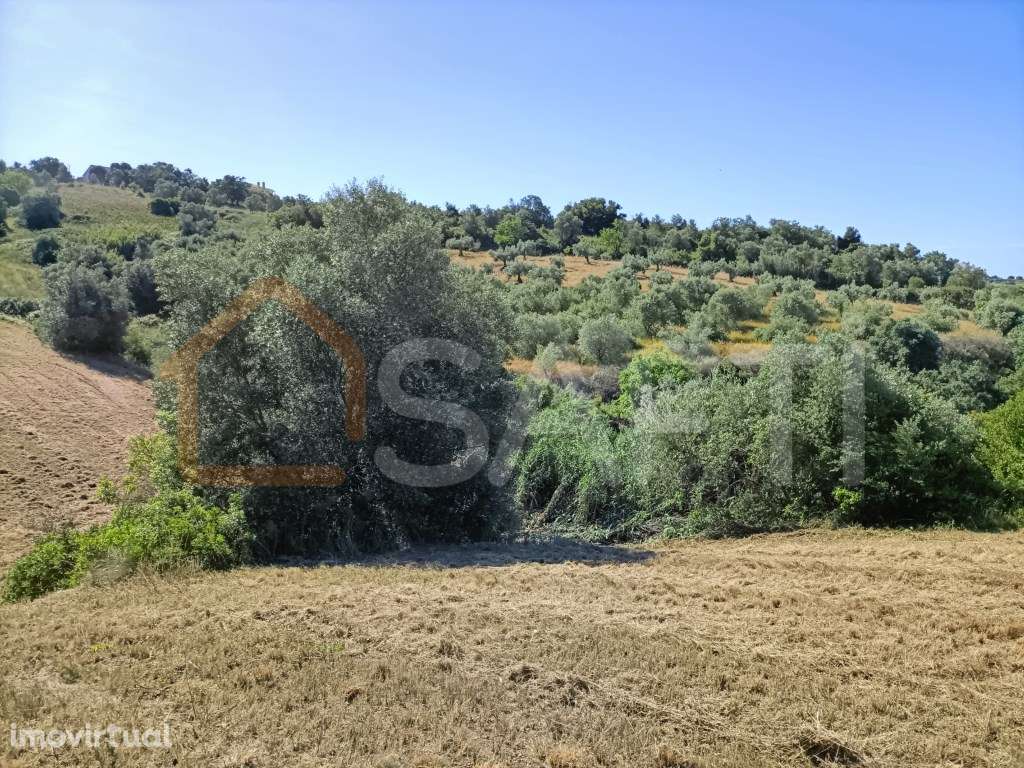 Terreno urbanizável Concelho Santarém - Grande imagem: 2/15