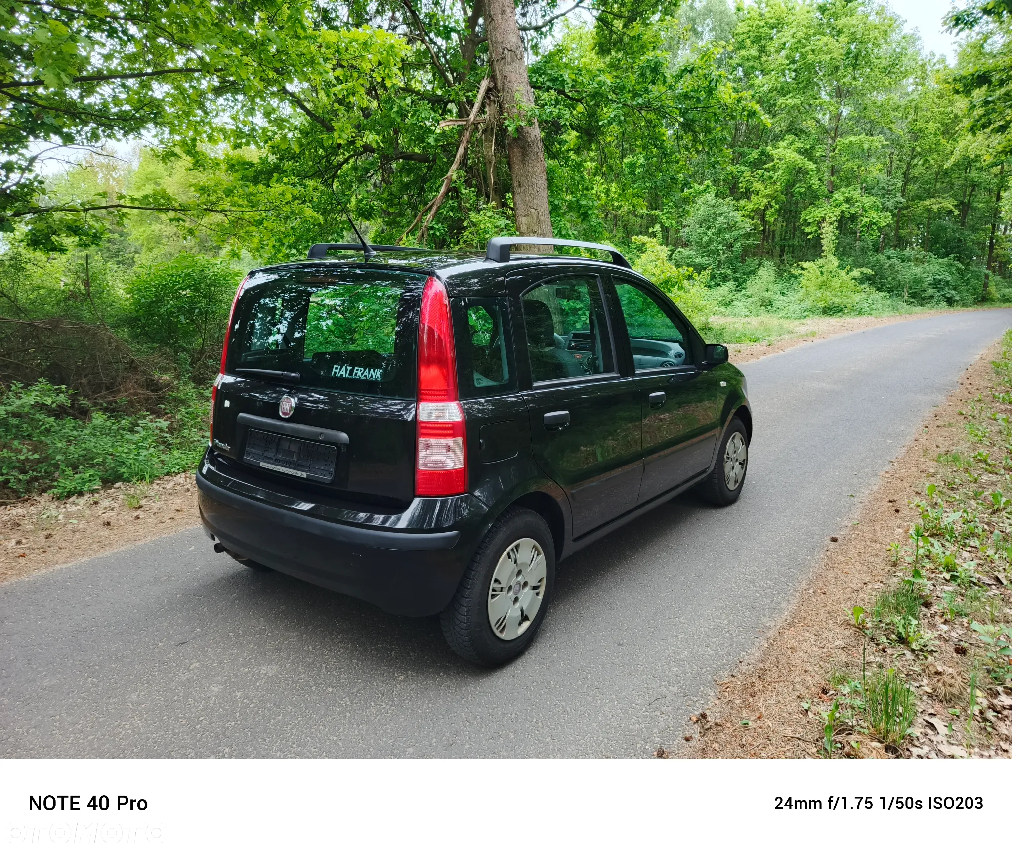 Fiat Panda 1.2 Dynamic Plus - 6