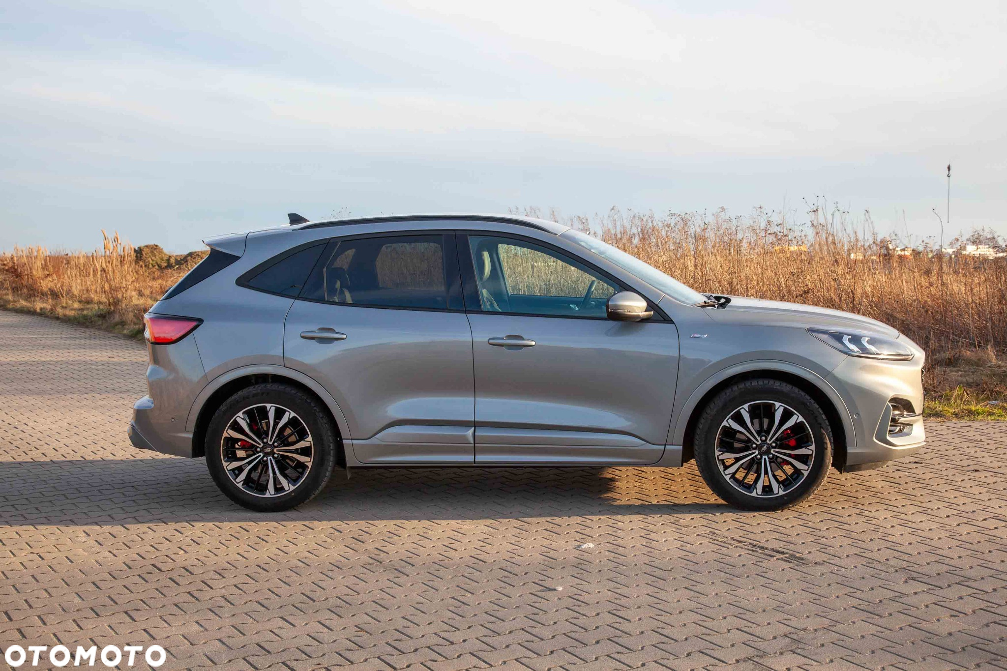 Ford Kuga 2.0 EcoBlue AWD ST-Line X - 2