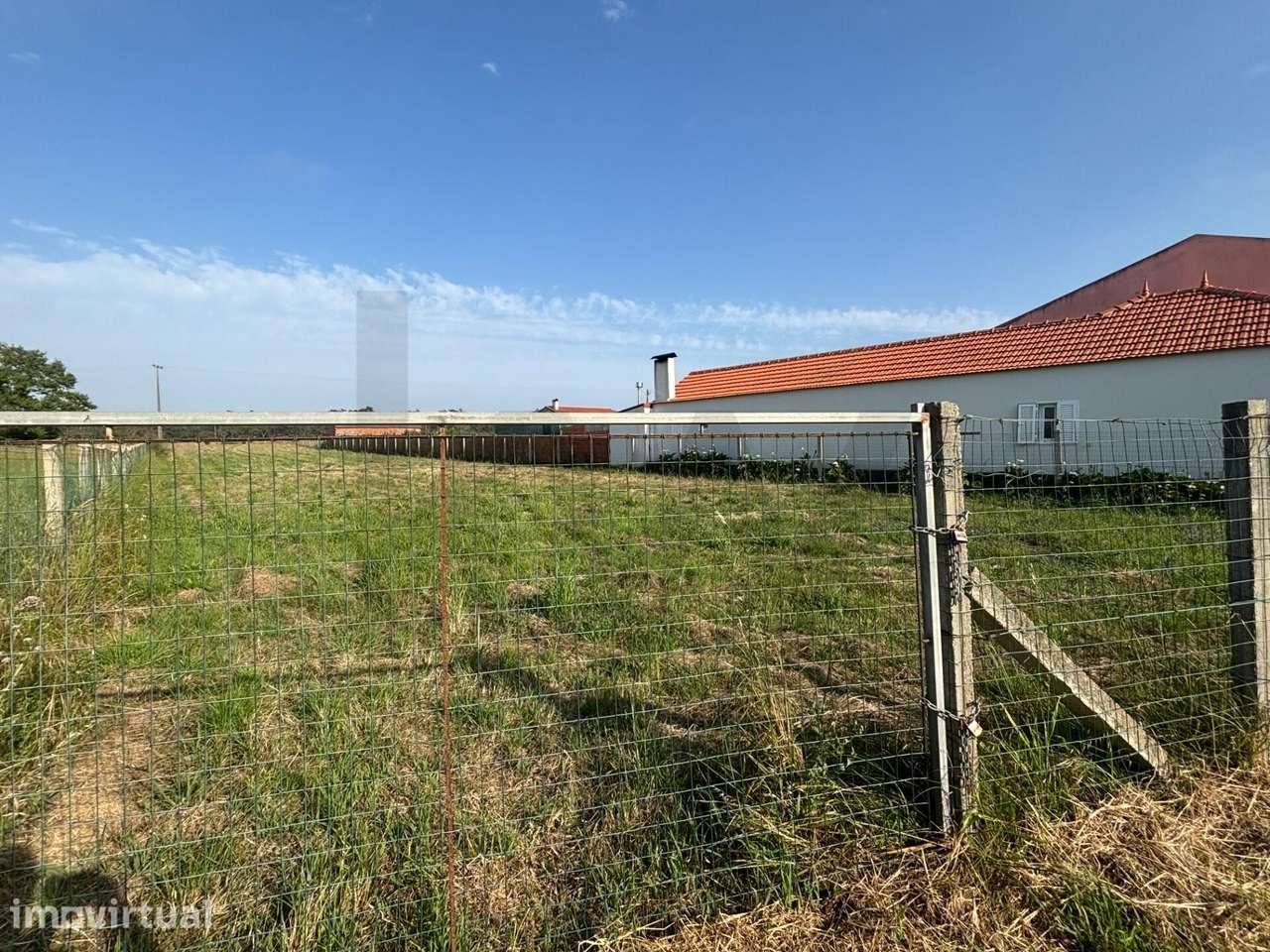 Terreno de 15.600 m2 com 17m de Frente Urbanizável e Pinhal Privado - Grande imagem: 4/12