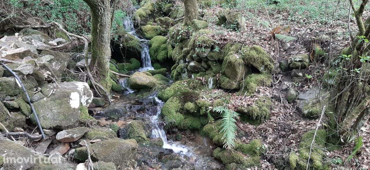 Terrenos – Sever do Vouga - Grande imagem: 2/30