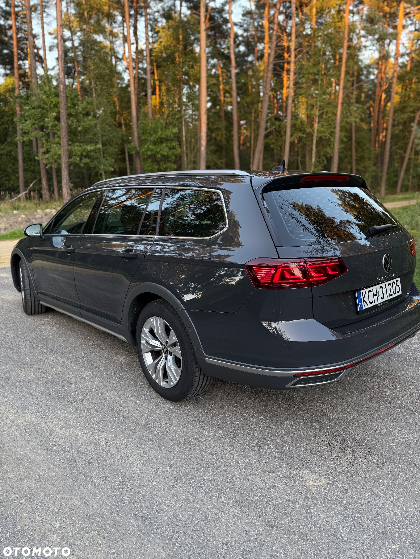 Volkswagen Passat Alltrack 2.0 TDI 4Mot DSG - 9