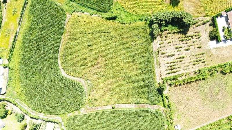Terreno Guimarães - Grande imagem: 4/7
