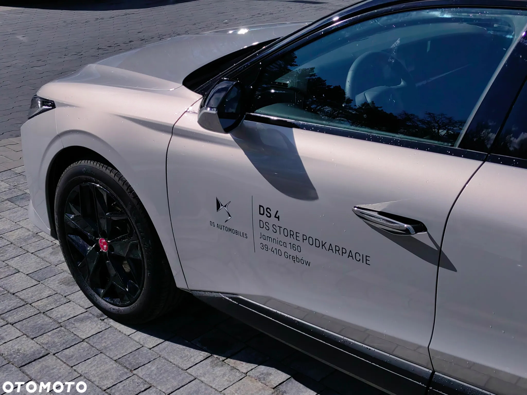 DS Automobiles DS 4 1.2 PureTech Performance Line + - 12