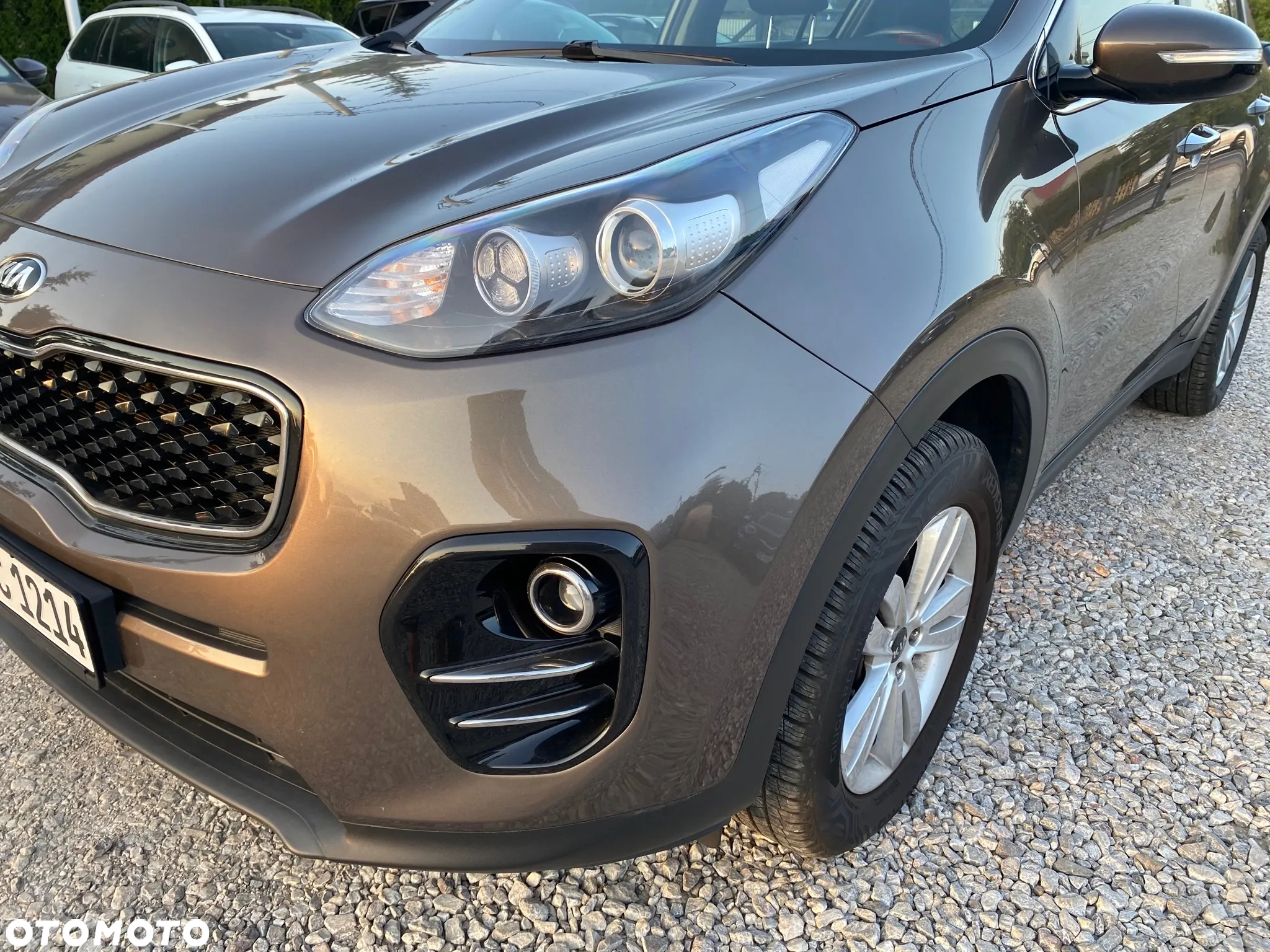 Kia Sportage 1.6 GDI L Business Line 2WD - 9