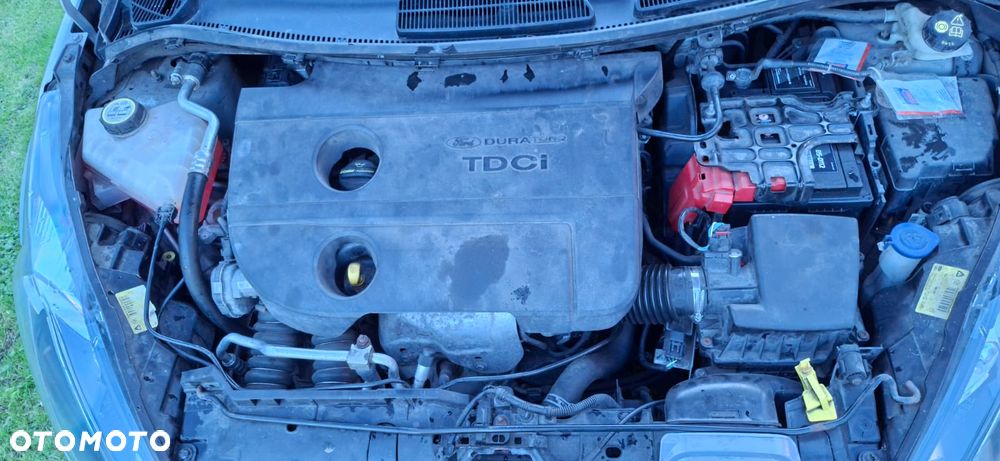 Ford Fiesta - 15