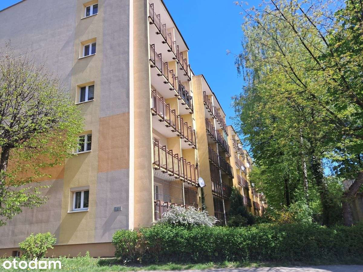 ciche, zielone osiedle blisko centrum