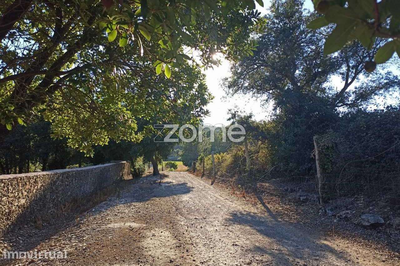 Terreno com 20.655m2 e Ruína com 452m2 em Covelas - Trofa - Grande imagem: 2/22