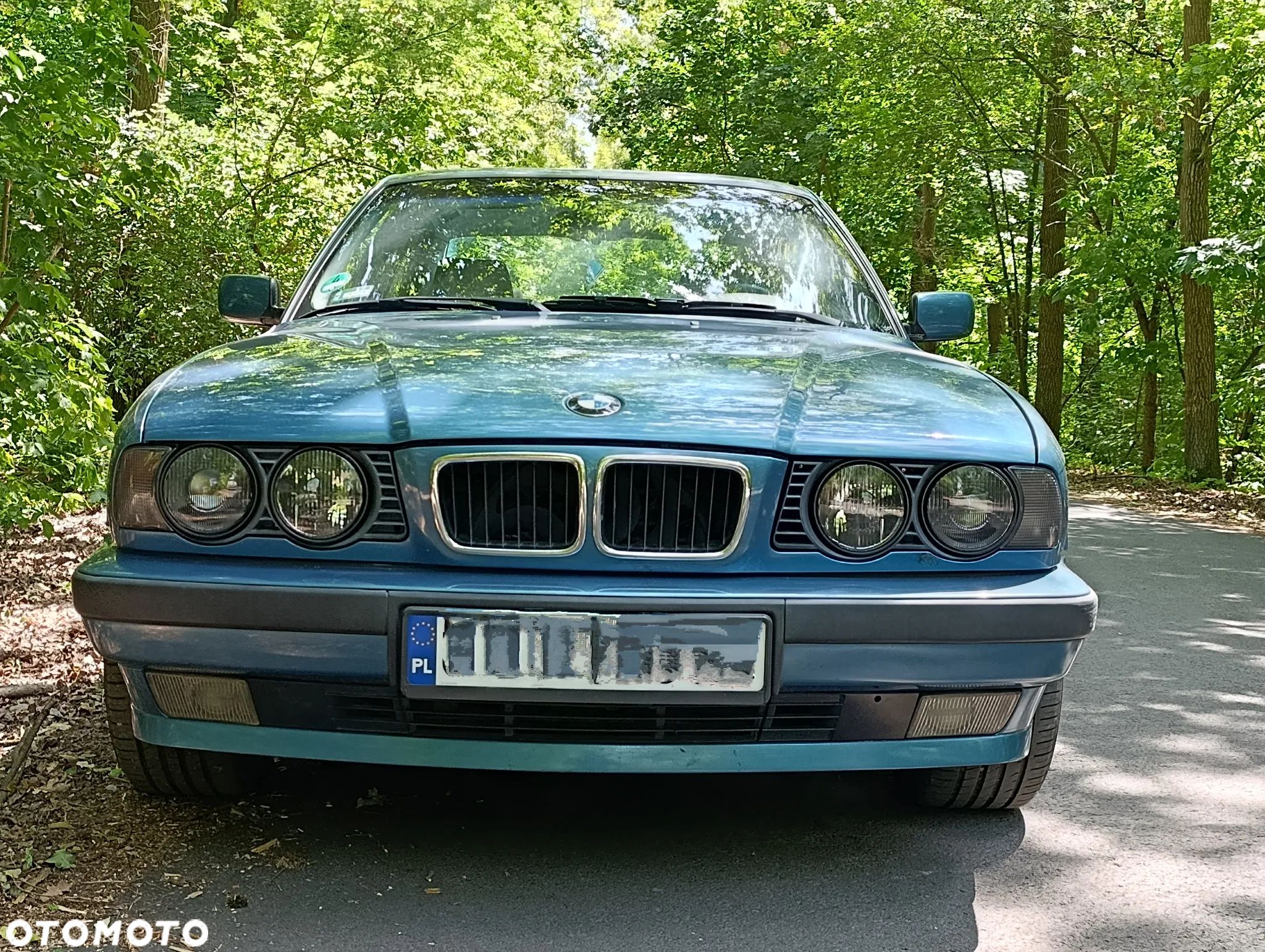BMW Seria 5 - 1