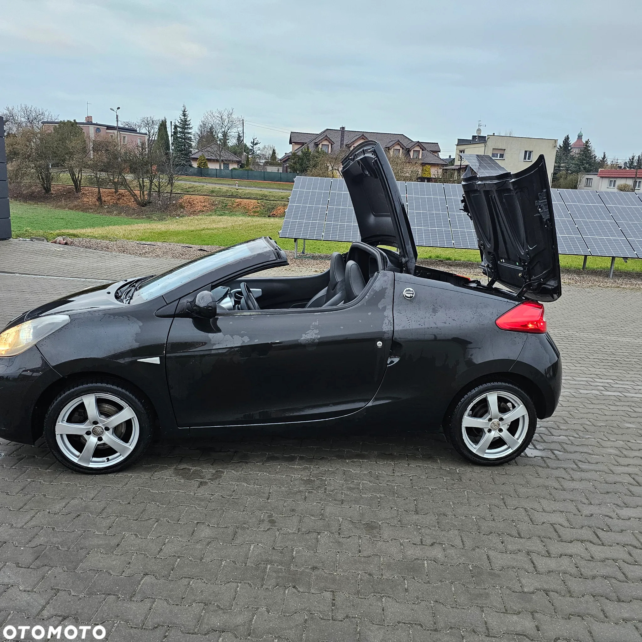 Renault Wind TCe 100 Gordini - 2