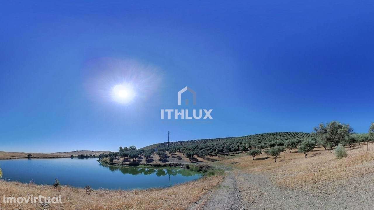 Herdade com 122 hectares com Barragem | ELVAS | ALENTEJO - Grande imagem: 4/16