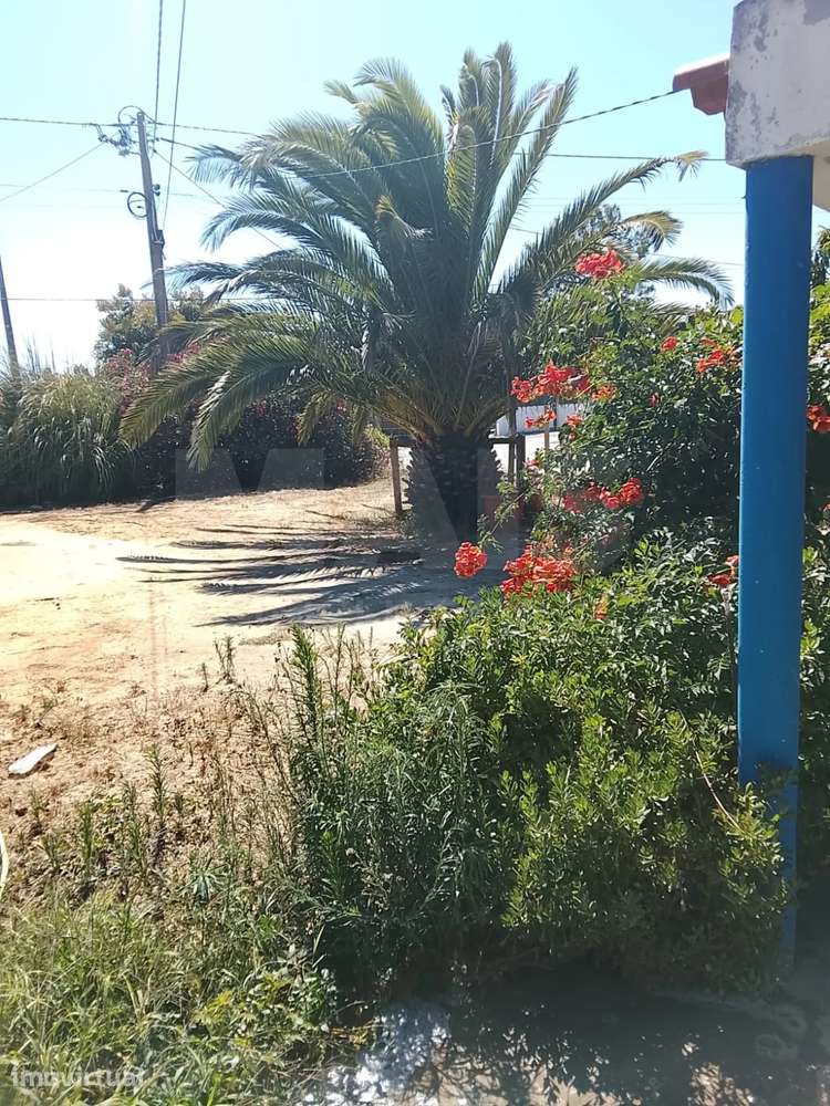 Moradia T2 com Quintal, Terraço e Churrasqueira em Vila Nova de Mil... - Grande imagem: 4/17