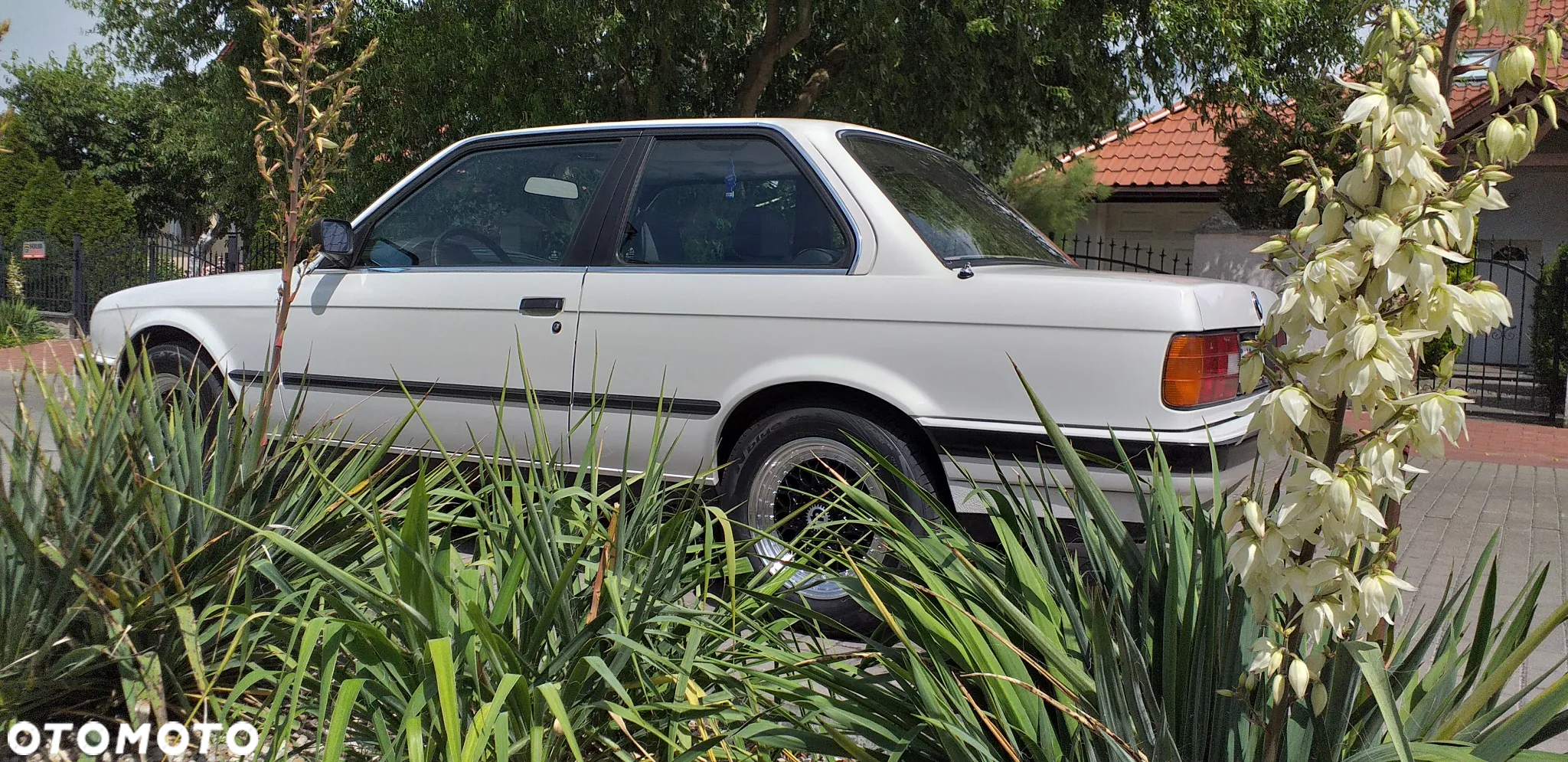 BMW Seria 3 318i - 7