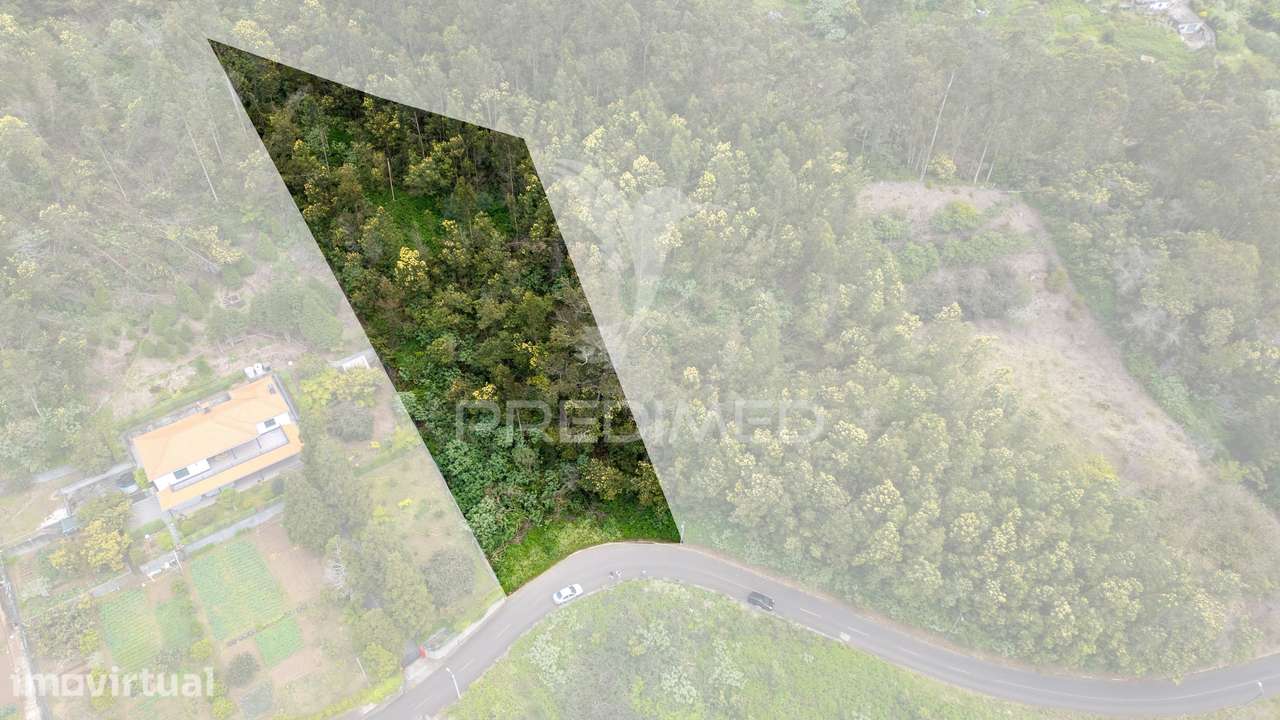 Terreno com Potencial de Construção em Ambiente Natural Único – San... - Grande imagem: 2/37