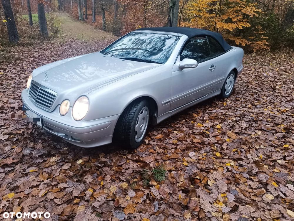 Mercedes-Benz CLK - 8