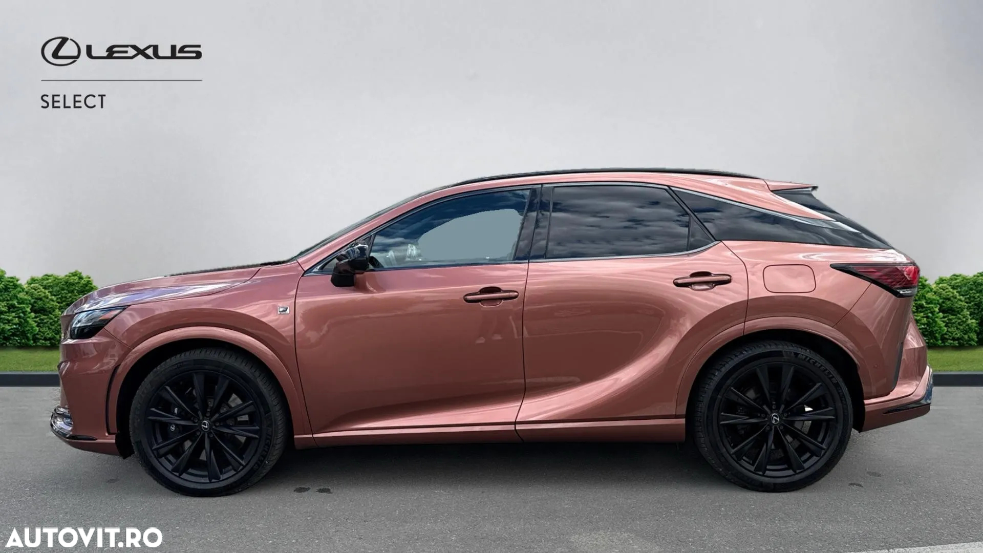 Lexus Seria RX - 5