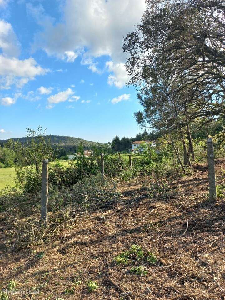 Terreno Rústico com viabilidade construtiva em Escariz - Grande imagem: 5/6