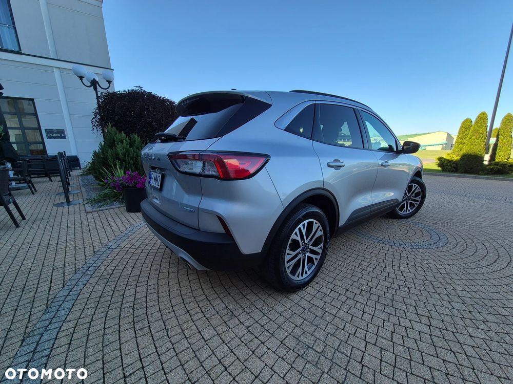 Ford Escape - 7