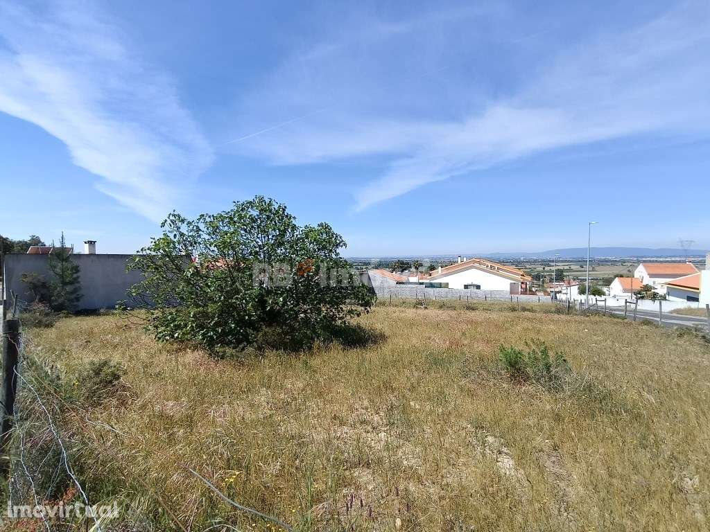 Lote de Terreno para Construção | Carregueira - Chamusca - Grande imagem: 2/12