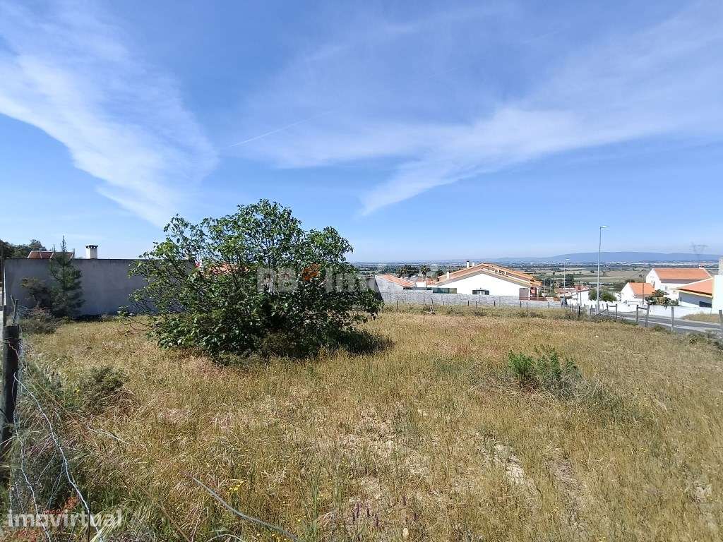 Lote de Terreno para Construção | Carregueira - Chamusca - Grande imagem: 2/12