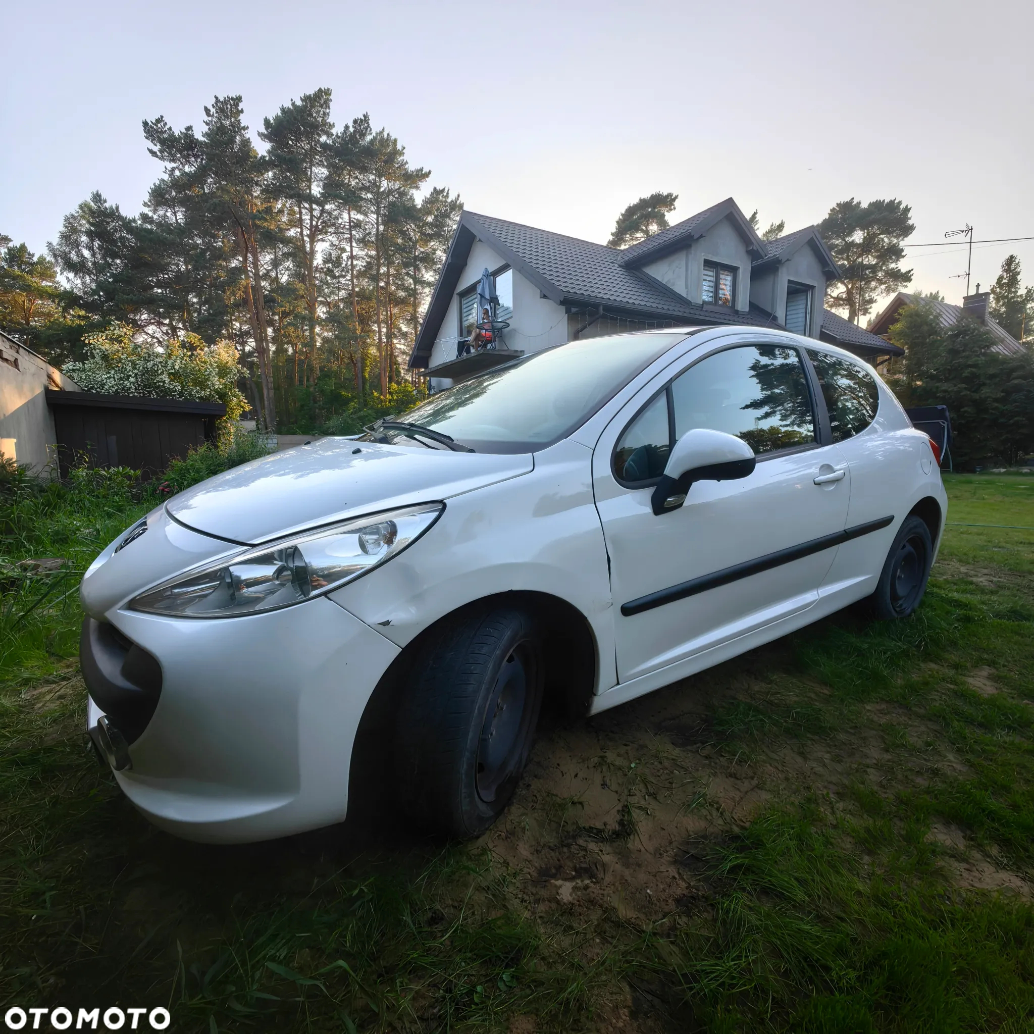 Peugeot 207 - 5