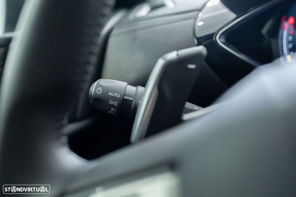 DS DS3 Crossback 1.5 BlueHDi Rivoli EAT8 - 30