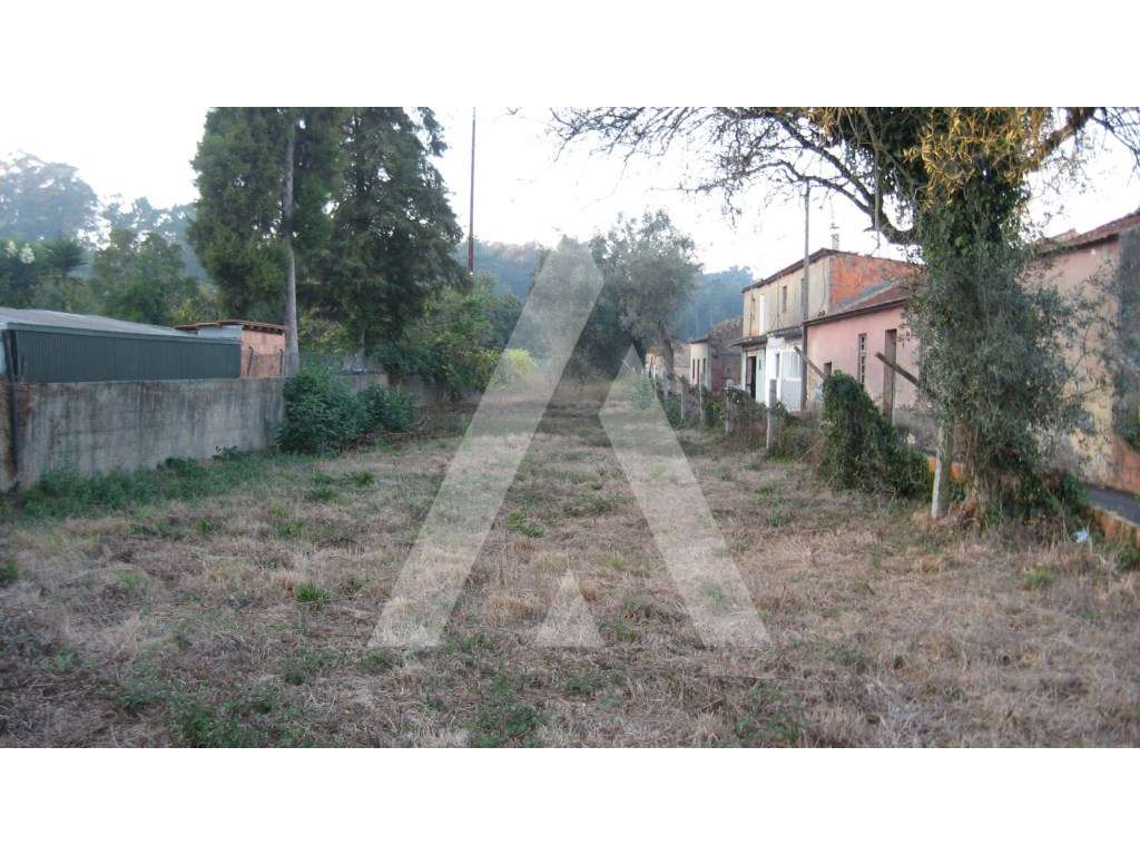 Moradia para recuperar ou demolir em Aquerubim - Grande imagem: 4/5