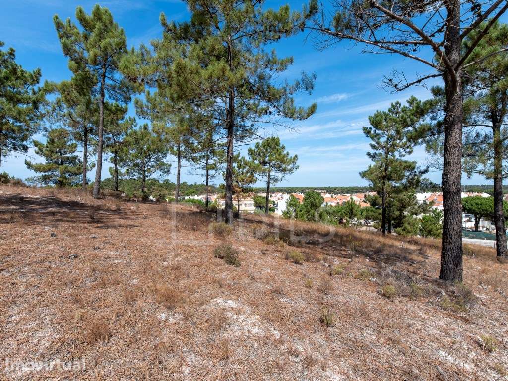 Lote de Terreno, no loteamento La Reserve, Carvalhal - Grande imagem: 5/23