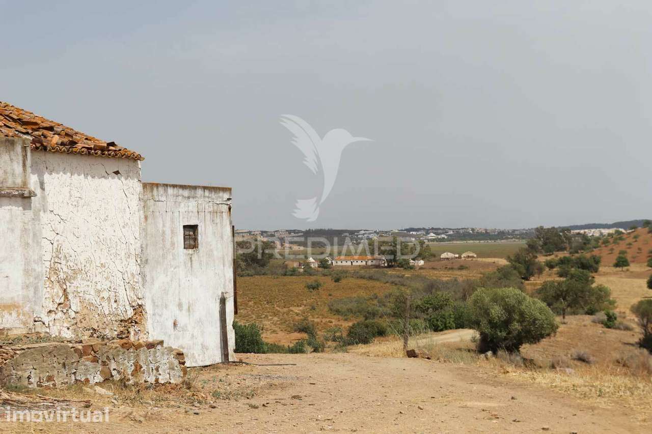 Terreno misto com vista do Guadiana, 126ha, com ruína de 618m2 - Grande imagem: 2/29