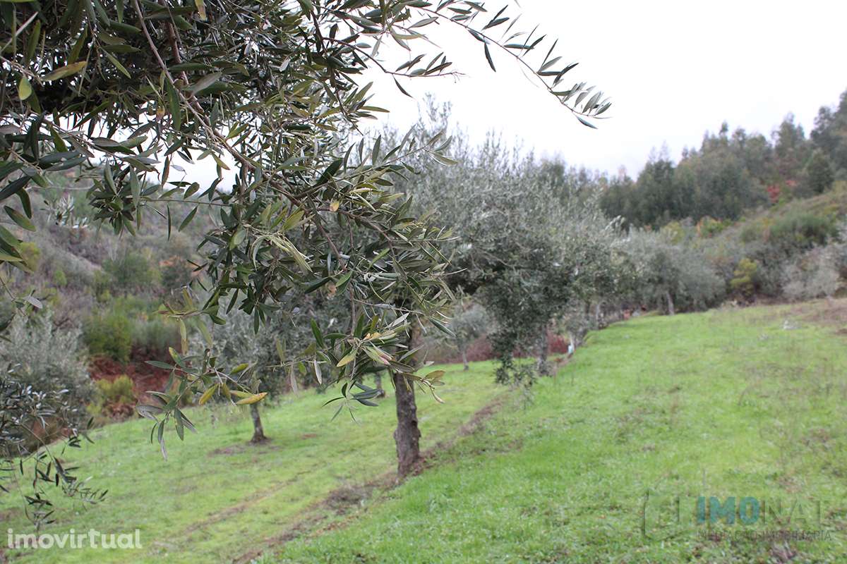 Terreno - Grande imagem: 4/29