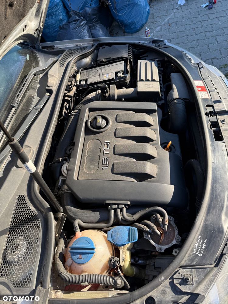 Audi Inny - 8