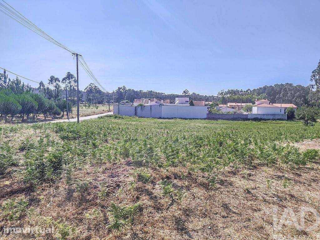 Terreno Agrícola em Maceira - Grande imagem: 4/10