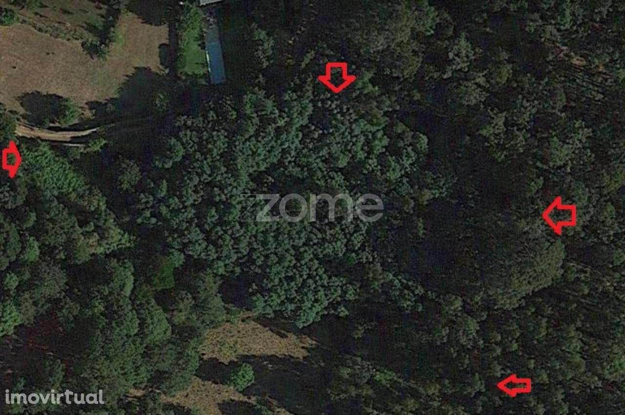 Terreno em Caminha com Vista para a Foz do Rio Minho - Grande imagem: 4/46