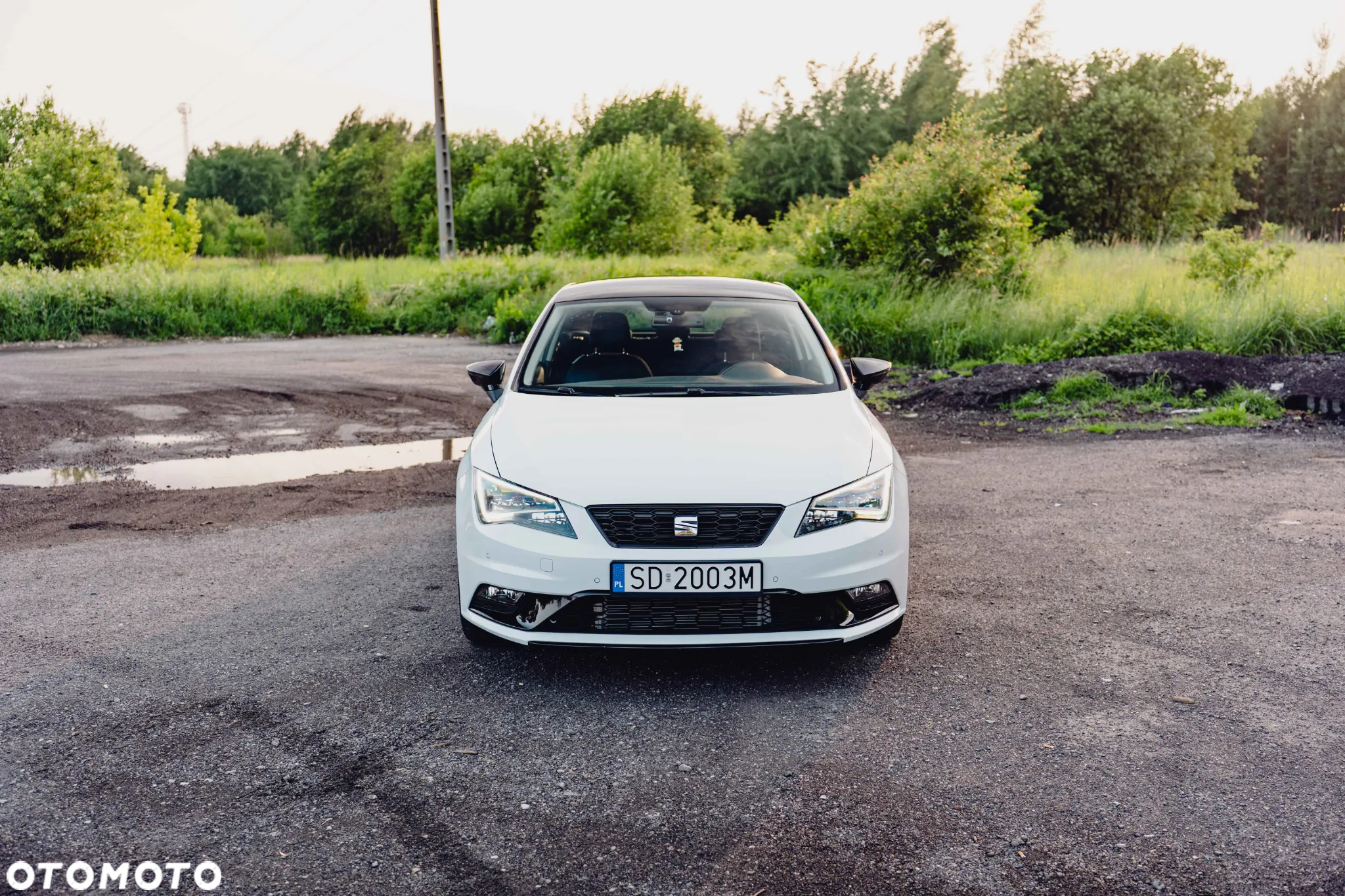 Seat Leon SC 2.0 TDI Style S&S EU6 - 5