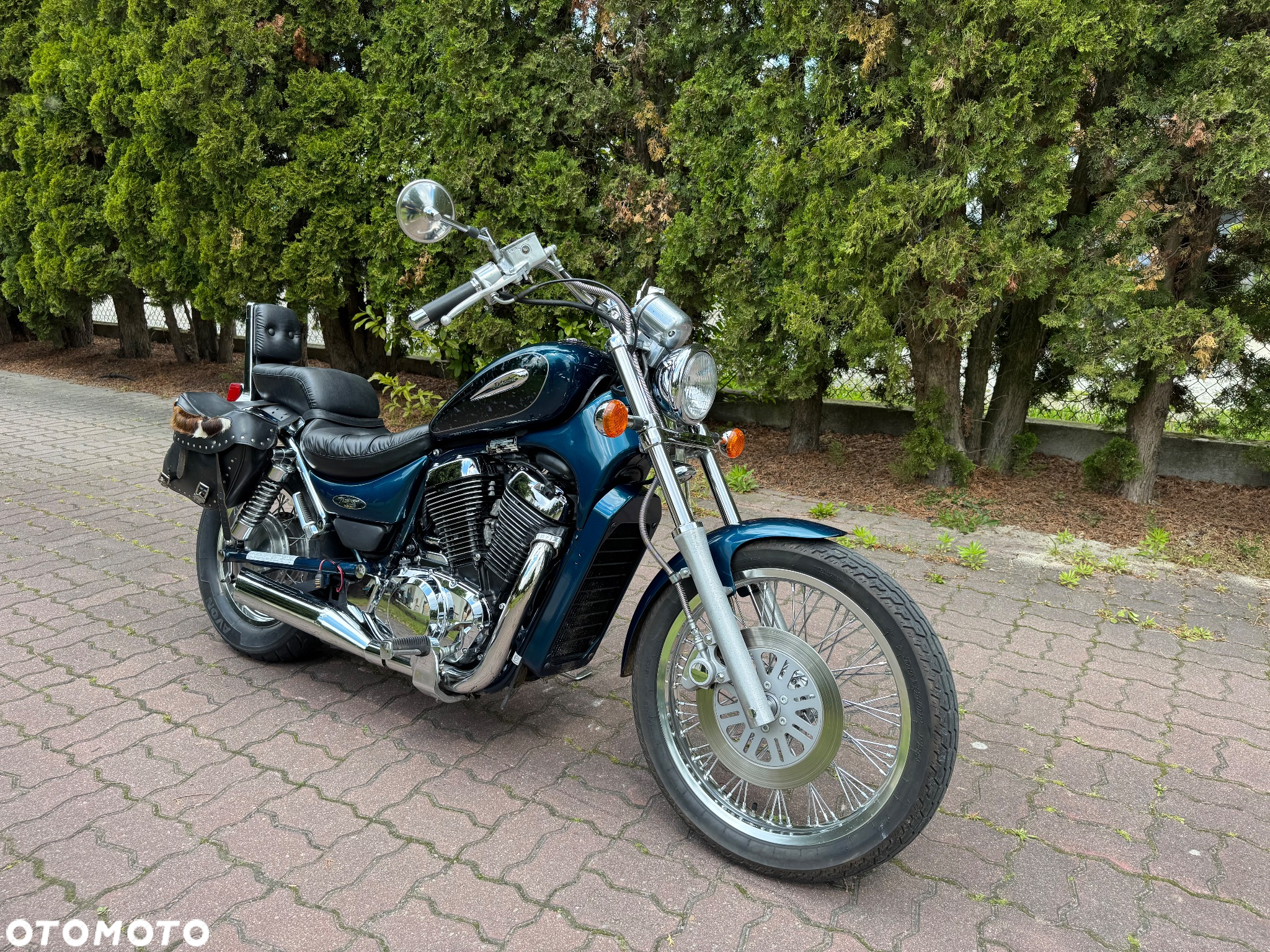 Suzuki Intruder - 3
