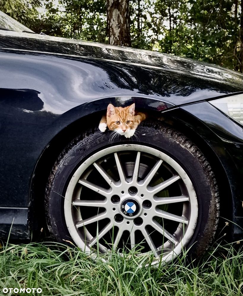 BMW Seria 3 318i - 1