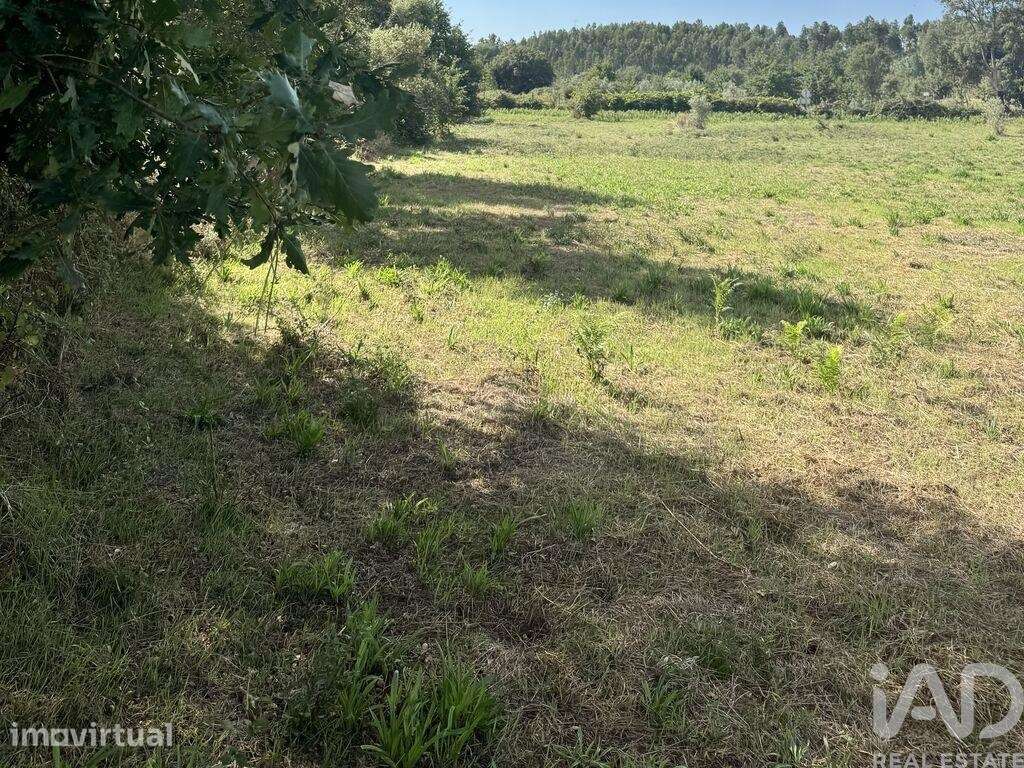 Moradia isolada em Graça de 63 m2 - Grande imagem: 5/15