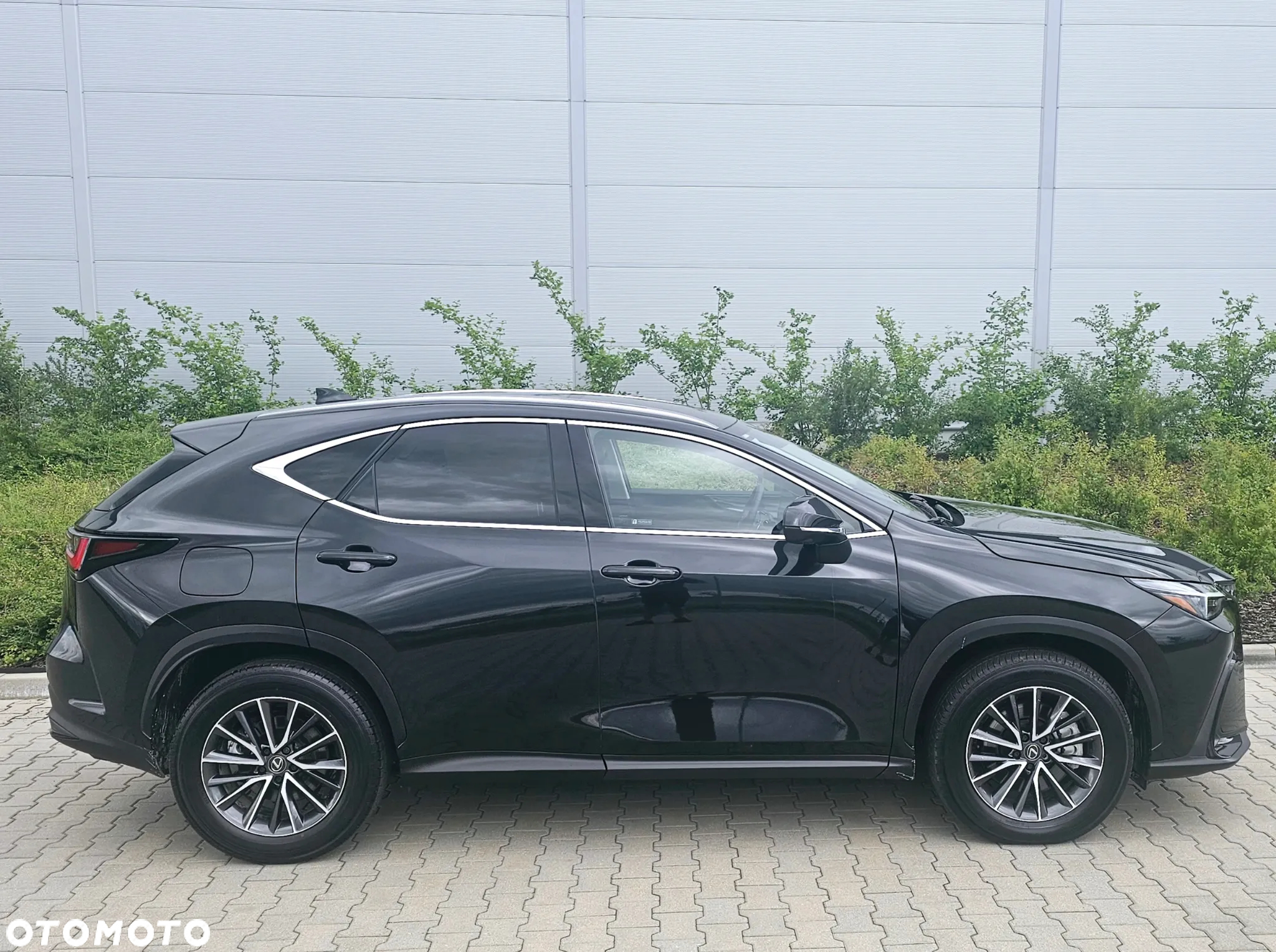 Lexus NX 450h+ Overtrail AWD - 4