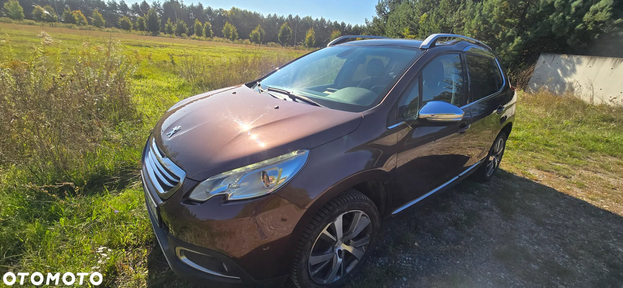 Peugeot 2008 1.6 VTi Allure - 3