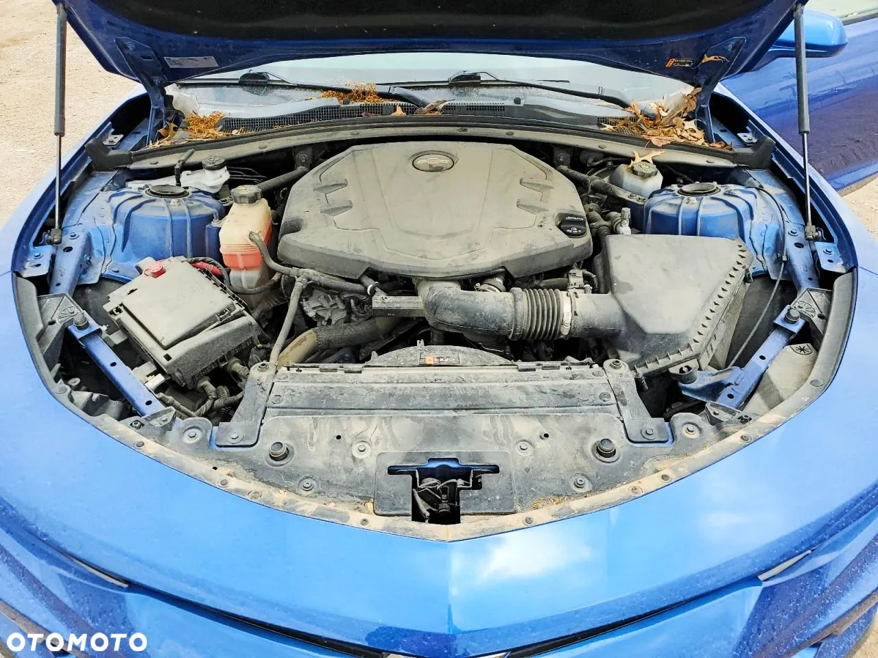 Chevrolet Camaro - 11
