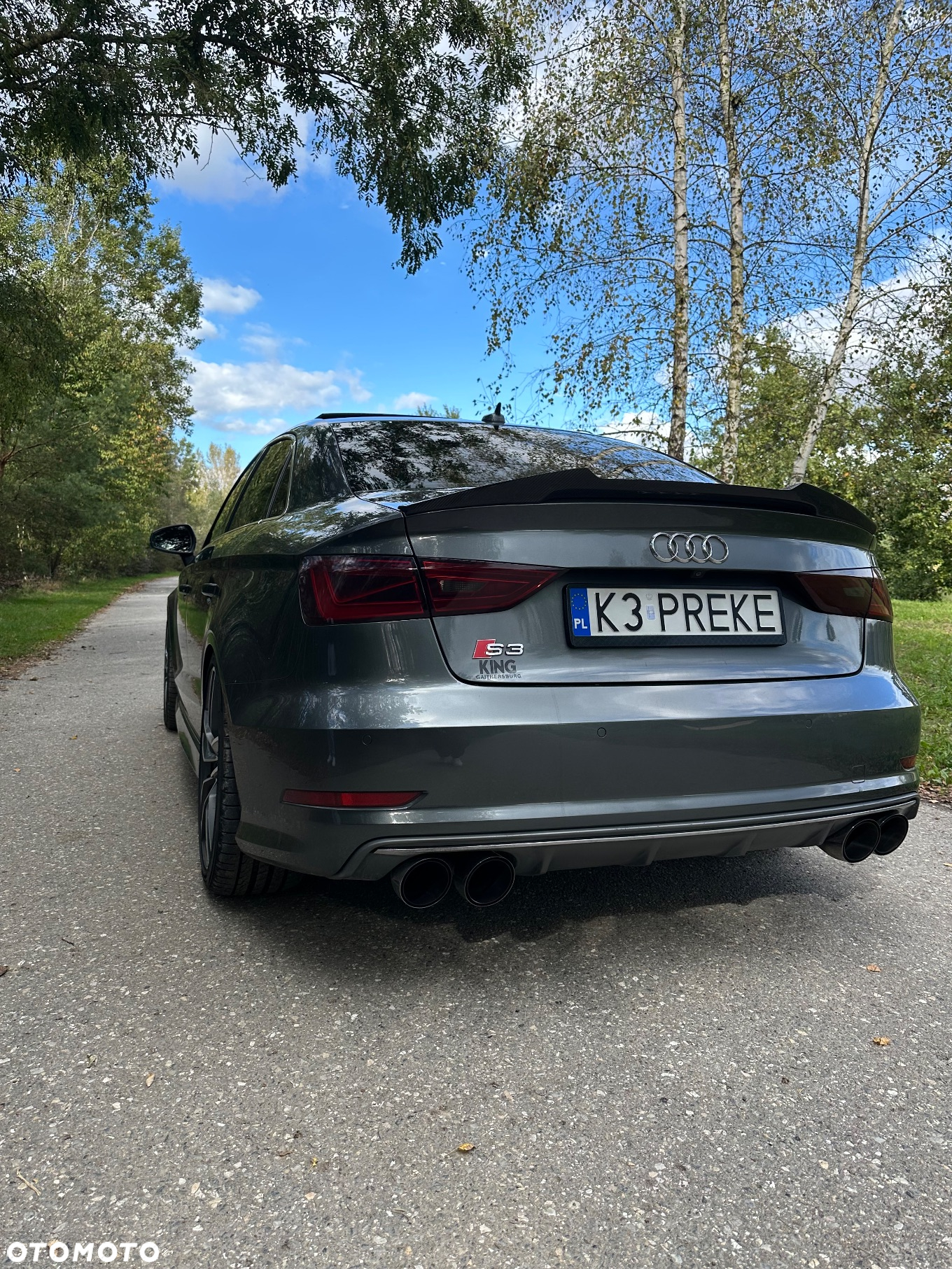 Audi S3 2.0 TFSI Quattro S tronic - 13