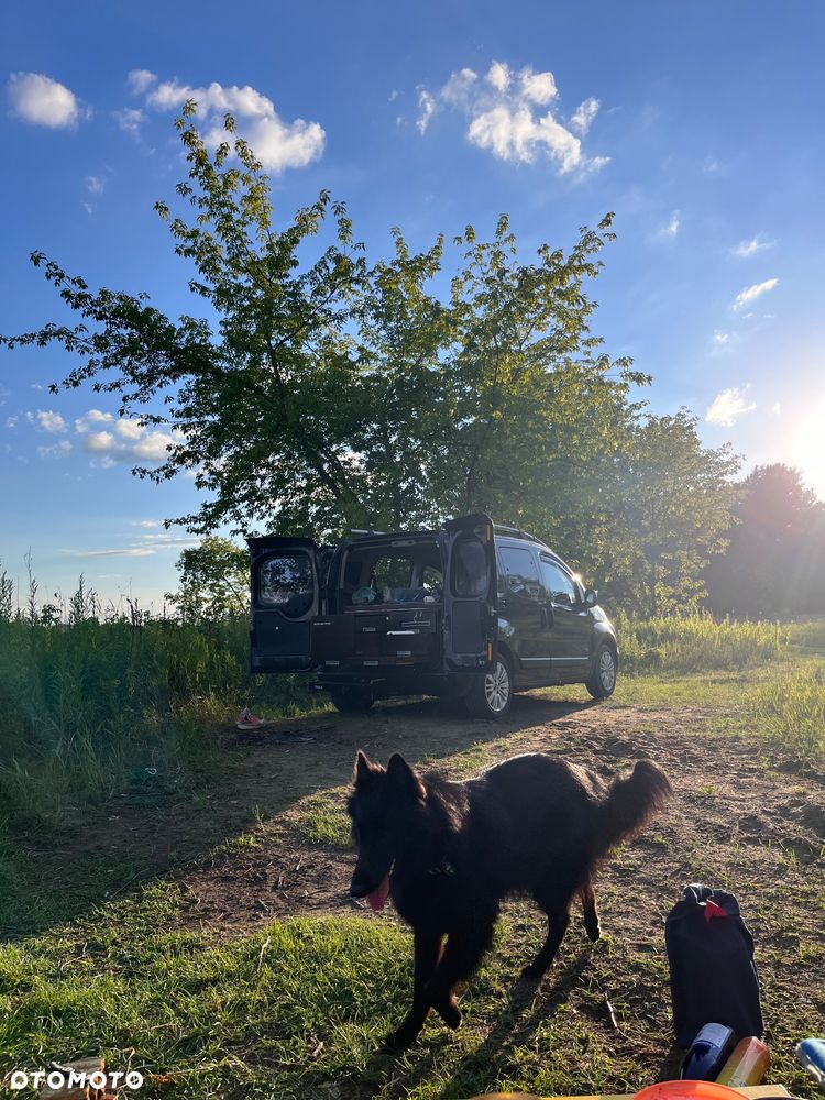 Fiat Qubo 1.3 Multijet 16V Dualogic Active - 11