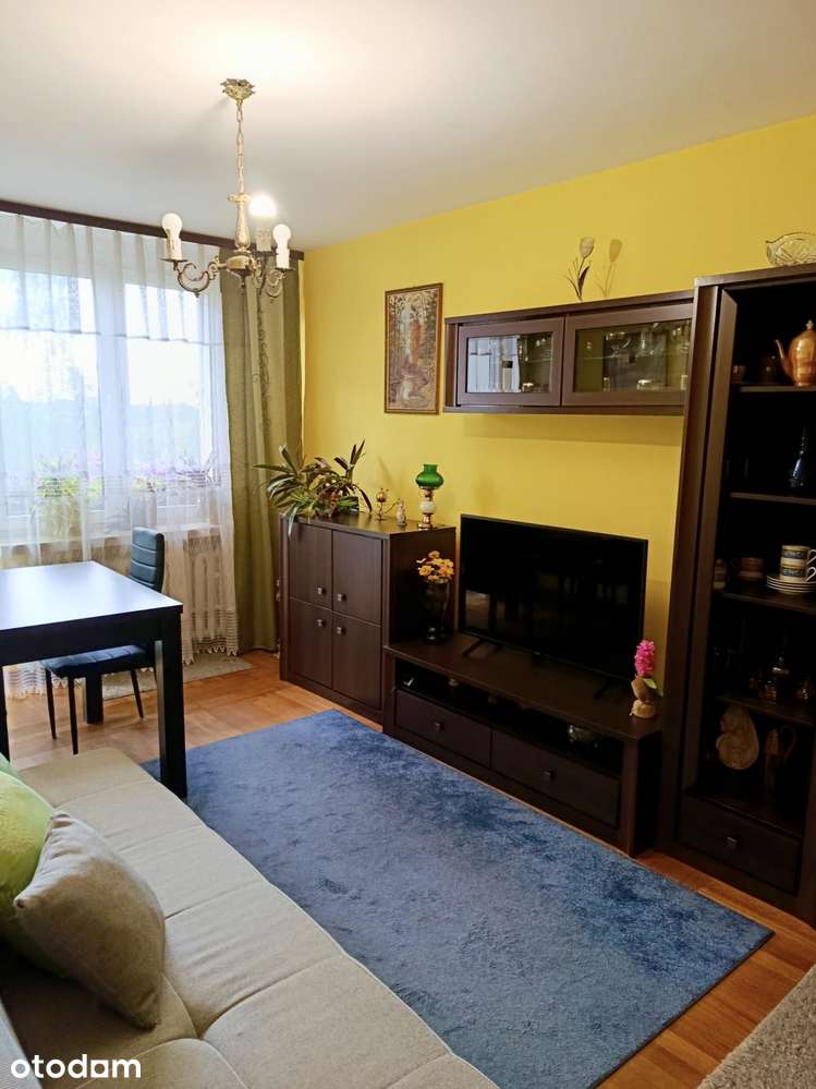 Zadbane mieszkanie 2 pokoje, po remoncie, spokojna dzielnica LSM