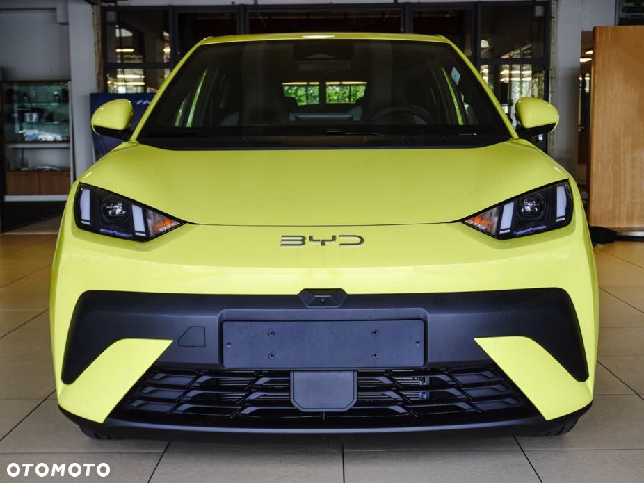 BYD Dolphin Surf - 4