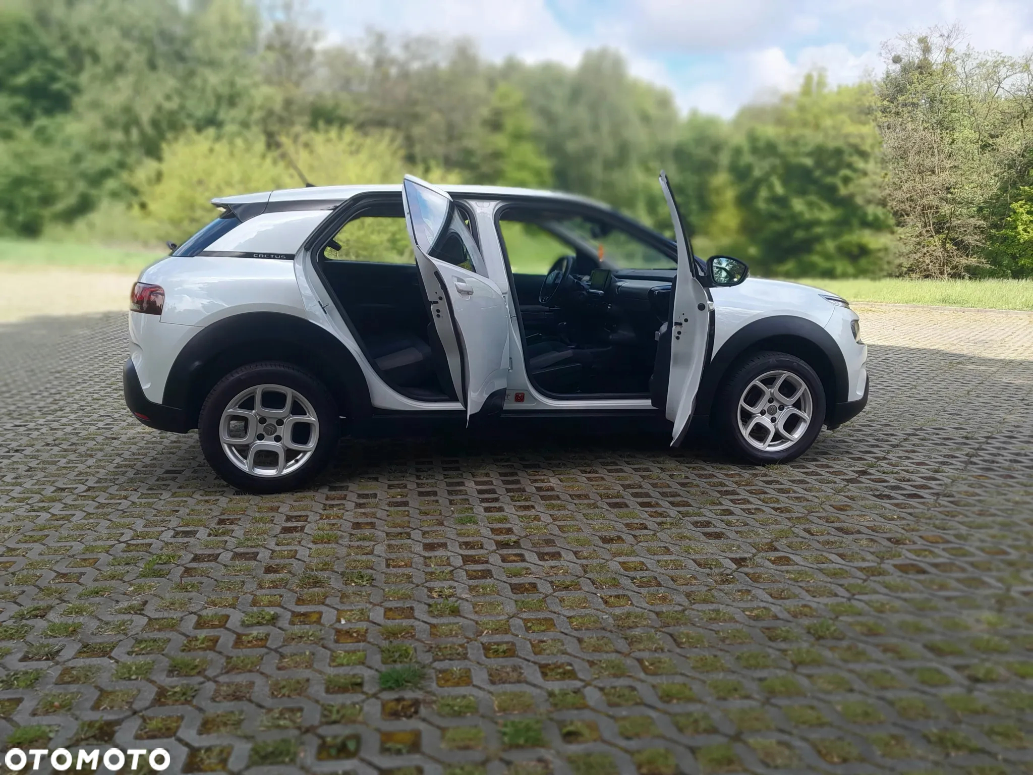 Citroën C4 Cactus 1.2 PureTech Feel Edition S&S - 23