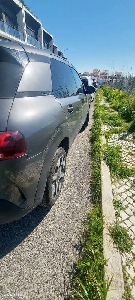 Citroën C4 Cactus 1.5 BlueHDi Shine Pack - 4