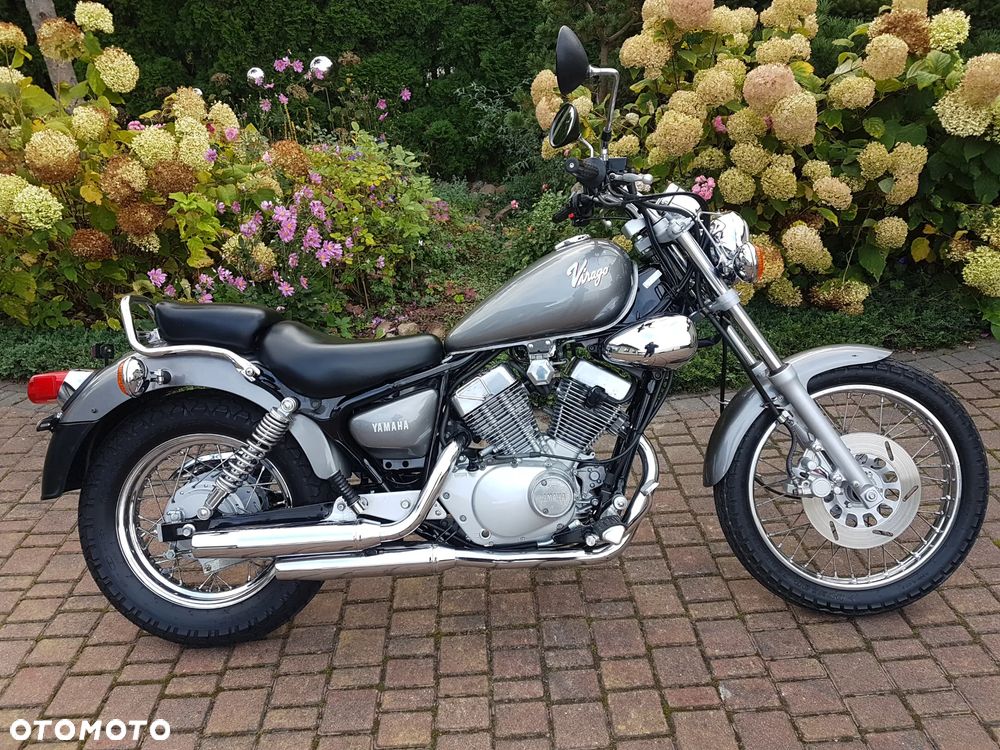 Yamaha Virago - 4