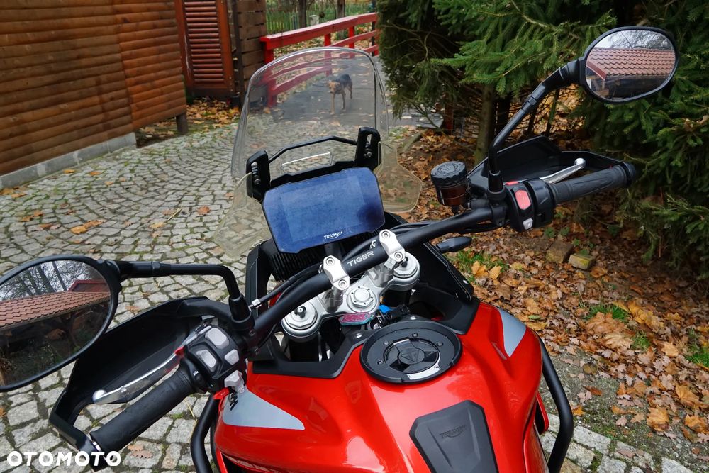 Triumph Tiger - 4